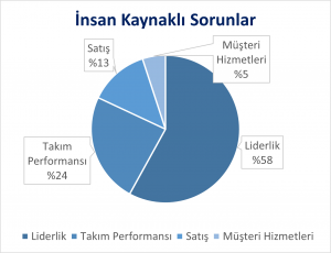İş Yaşamında Duygusal Zeka 2 22032021024352723 Sorunlar
